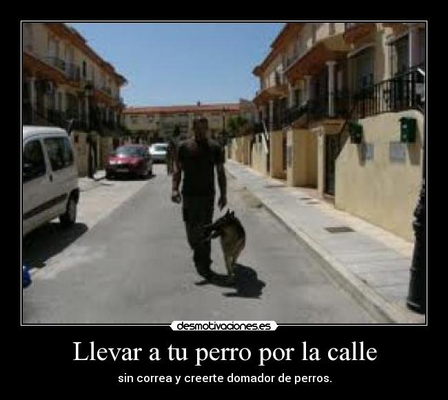 Llevar a tu perro por la calle - sin correa y creerte domador de perros.