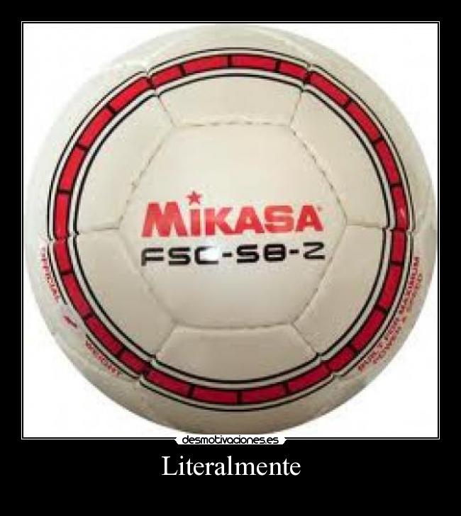 carteles literalmente mikasa casa micasa desmotivaciones