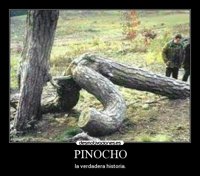 PINOCHO - la verdadera historia.