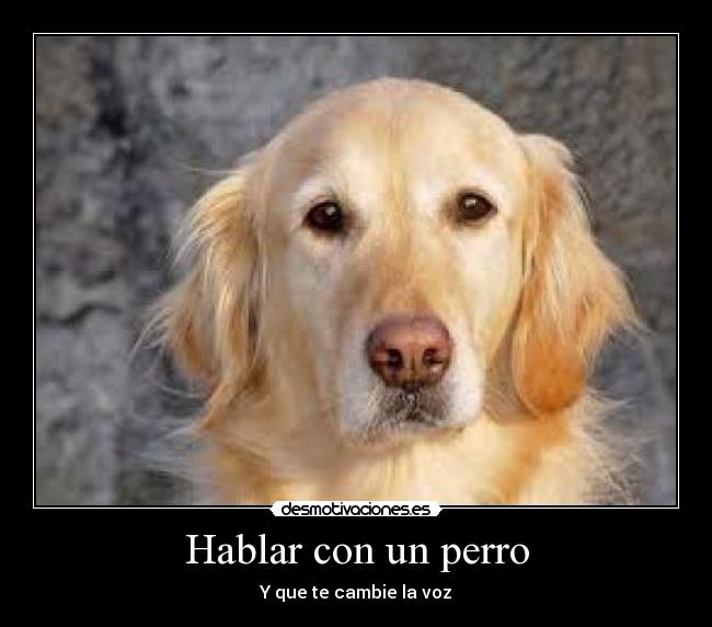 Hablar con un perro - Y que te cambie la voz