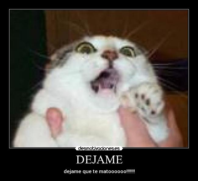 DEJAME - dejame que te matoooooo!!!!!!!