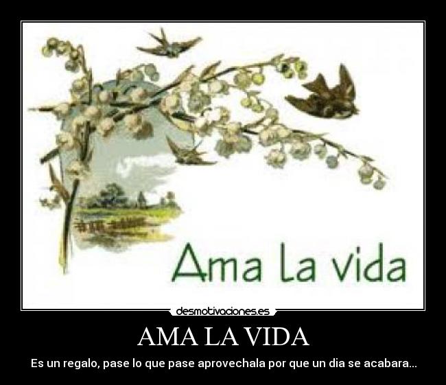 AMA LA VIDA - Es un regalo, pase lo que pase aprovechala por que un dia se acabara...