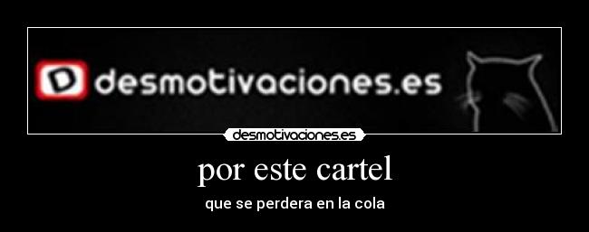 por este cartel - 