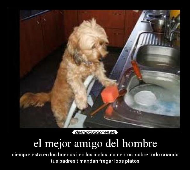 el mejor amigo del hombre - siempre esta en los buenos i en los malos momentos. sobre todo cuando
tus padres t mandan fregar loos platos