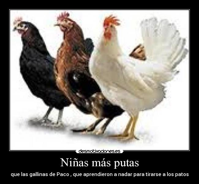 Niñas más putas - que las gallinas de Paco , que aprendieron a nadar para tirarse a los patos