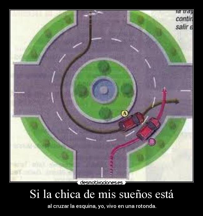 Si la chica de mis sueños está - 