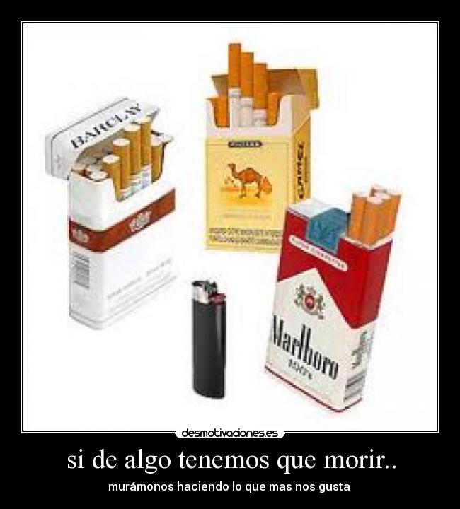 si de algo tenemos que morir.. -