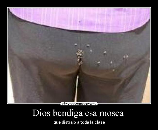 Dios bendiga esa mosca -
