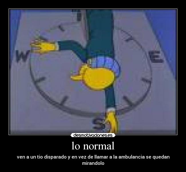 lo normal - ven a un tio disparado y en vez de llamar a la ambulancia se quedan mirandolo