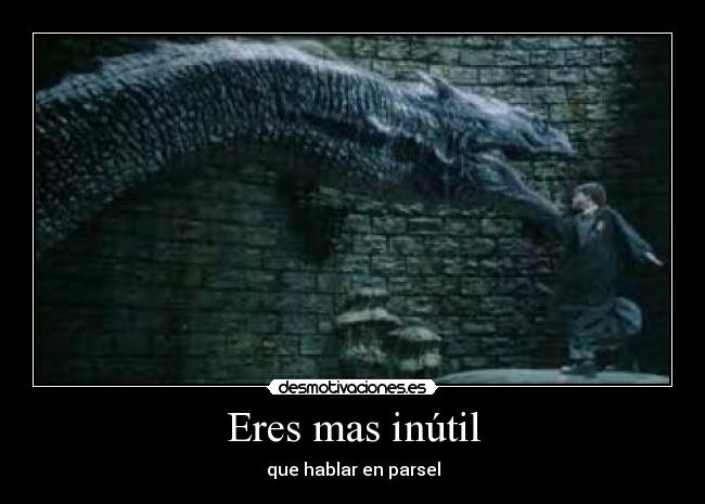 carteles harry potter desmotivaciones