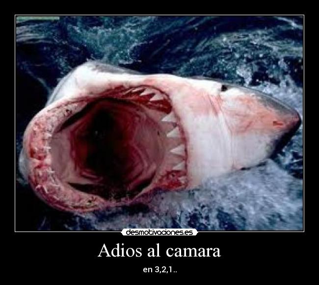 Adios al camara - en 3,2,1..