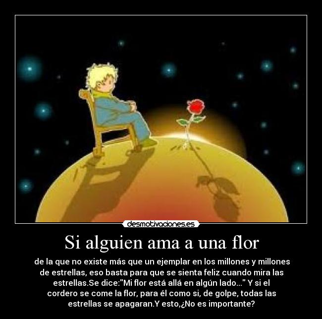 Si alguien ama a una flor -  de la que no existe más que un ejemplar en los millones y millones
de estrellas, eso basta para que se sienta feliz cuando mira las
estrellas.Se dice:Mi flor está allá en algún lado... Y si el
cordero se come la flor, para él como si, de golpe, todas las
estrellas se apagaran.Y esto,¿No es importante?