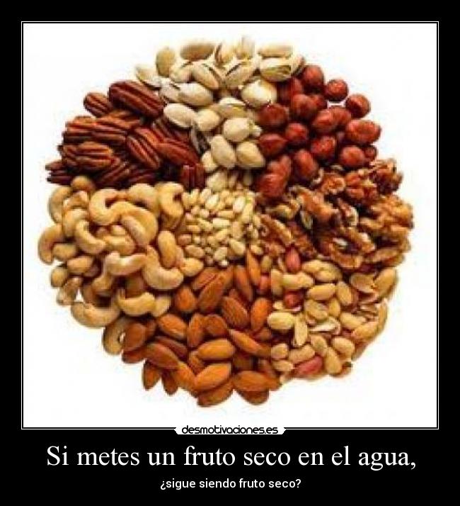 Si metes un fruto seco en el agua, -