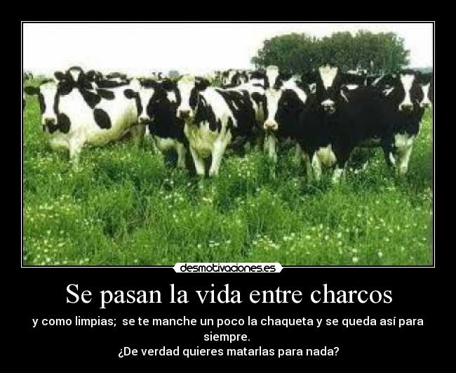 Se pasan la vida entre charcos - y como limpias;  se te manche un poco la chaqueta y se queda así para siempre. 
¿De verdad quieres matarlas para nada?