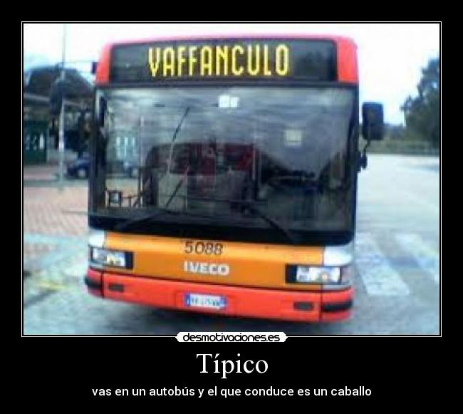 carteles walt_k jotajotamv custodioso luc205 solofumohierba darkike1995 sergiosoler12 elgatonovolador maca98 desmotivaciones