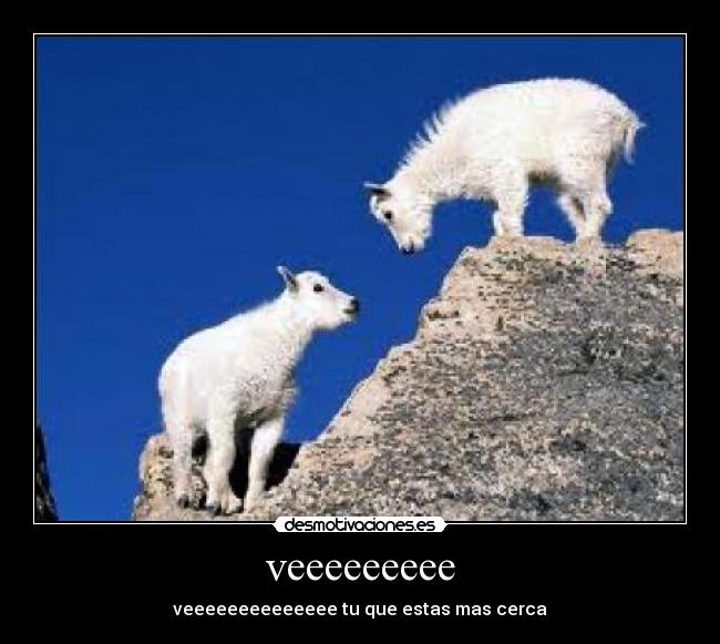 veeeeeeeee - veeeeeeeeeeeeee tu que estas mas cerca