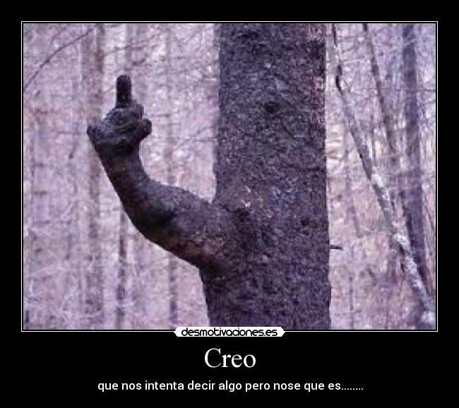 Creo - que nos intenta decir algo pero nose que es........