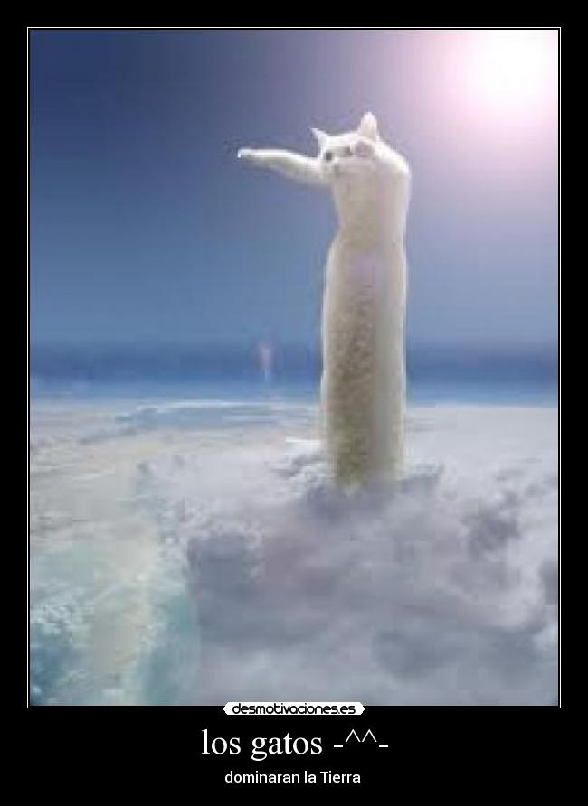 los gatos -^^- -