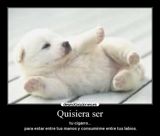 carteles desmotivaciones