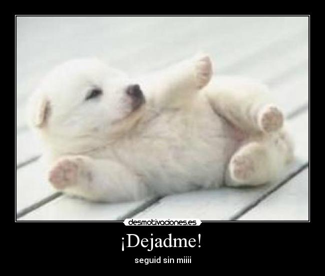 carteles chiste desmotivaciones