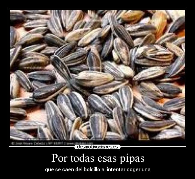 Por todas esas pipas - 