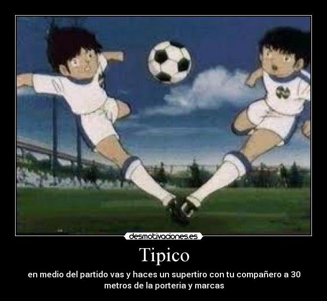 Tipico - 