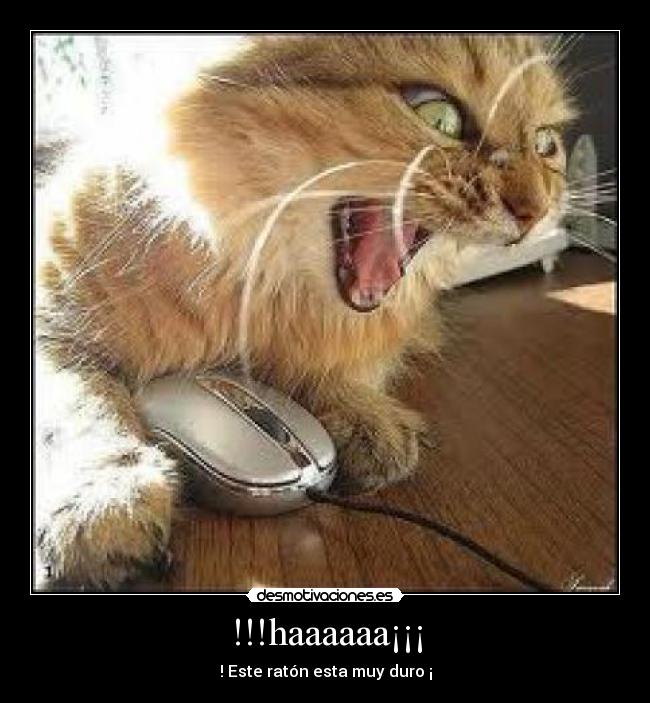 !!!haaaaaa¡¡¡ - ! Este ratón esta muy duro ¡