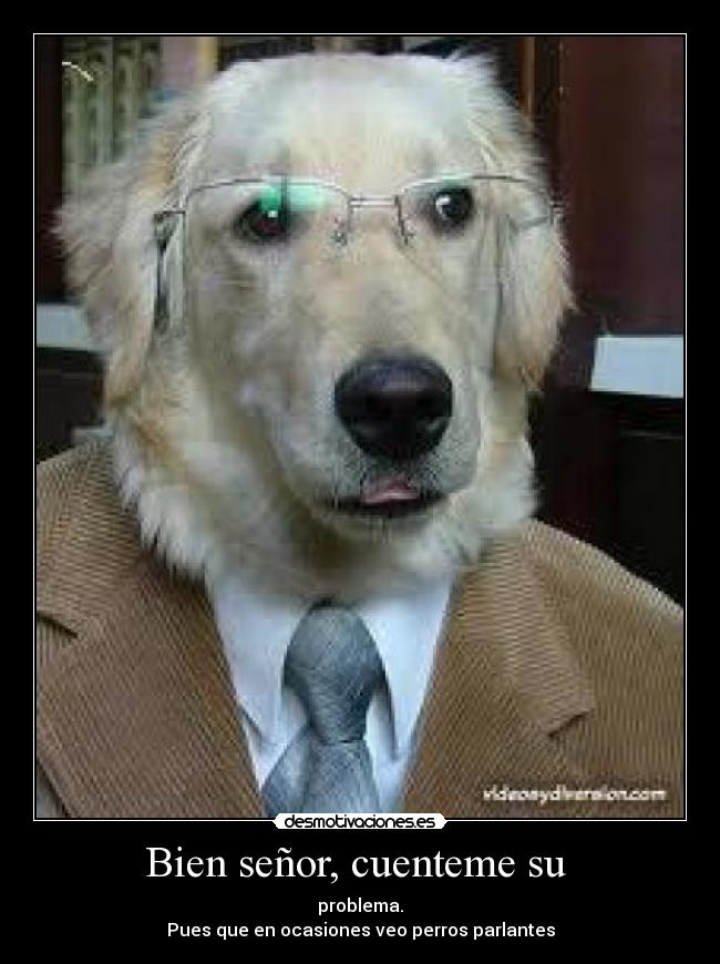Bien señor, cuenteme su  - problema.
Pues que en ocasiones veo perros parlantes