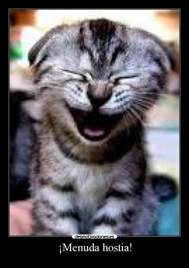 ¡Menuda hostia! - 