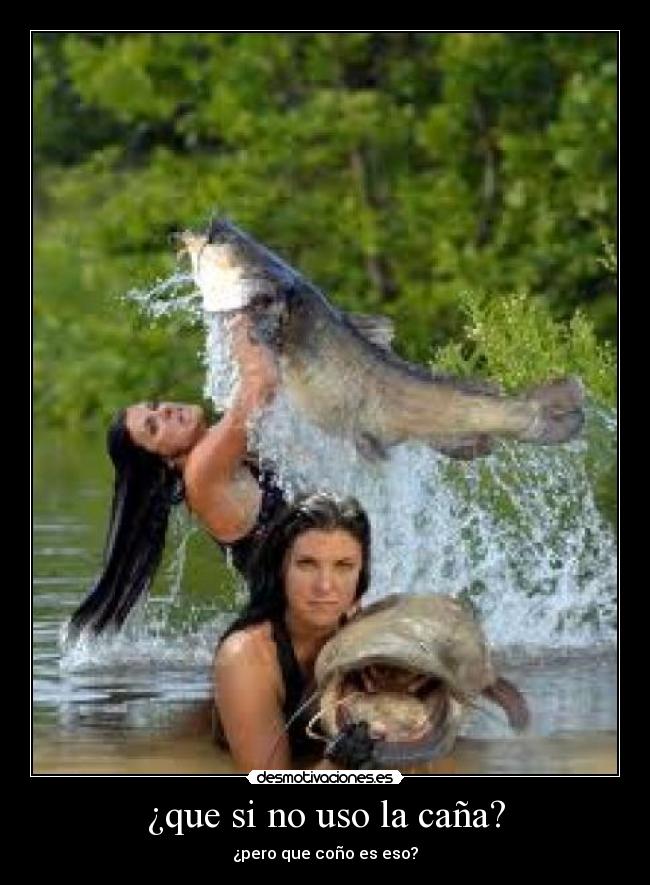 ¿que si no uso la caña? - 