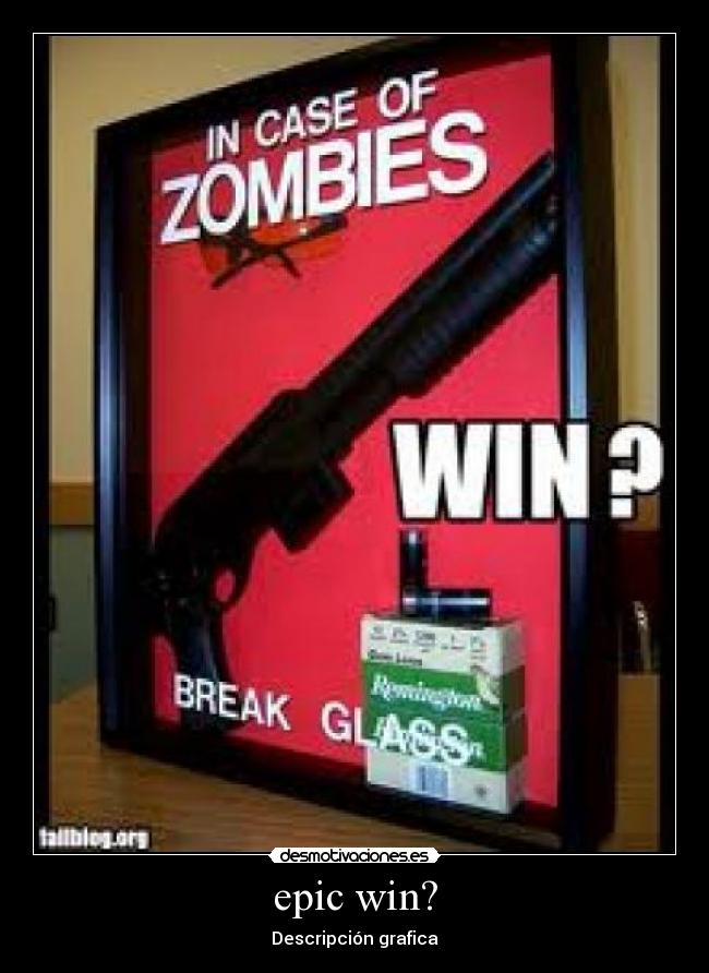 epic win? - Descripción grafica