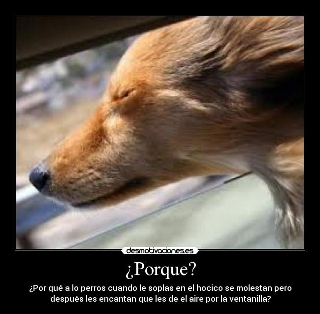 ¿Porque? -