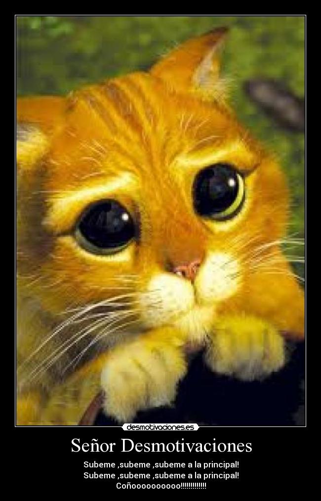 Señor Desmotivaciones - Subeme ,subeme ,subeme a la principal!
Subeme ,subeme ,subeme a la principal!
Coñoooooooooo!!!!!!!!!!!!!