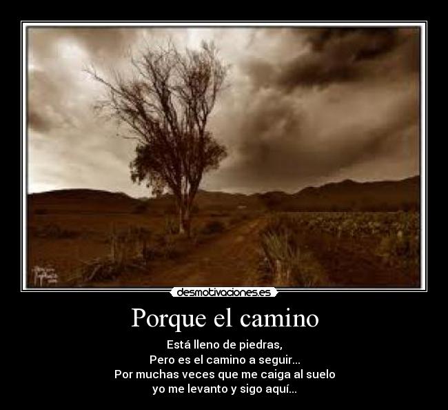 Porque el camino -