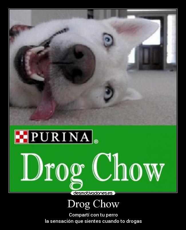 Drog Chow -