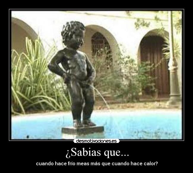 ¿Sabias que... - 