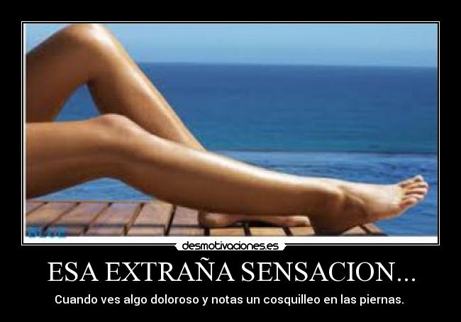 carteles wesi_69 desmotivaciones