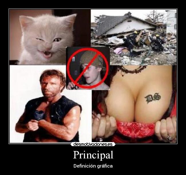 Principal - 