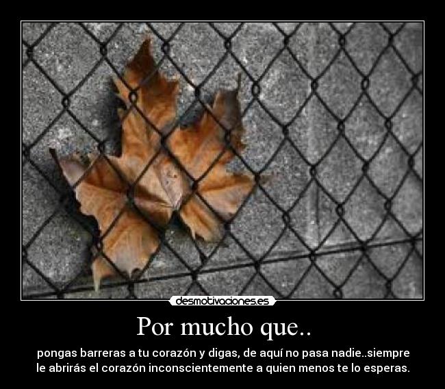 Por mucho que.. - pongas barreras a tu corazón y digas, de aquí no pasa nadie..siempre
le abrirás el corazón inconscientemente a quien menos te lo esperas.