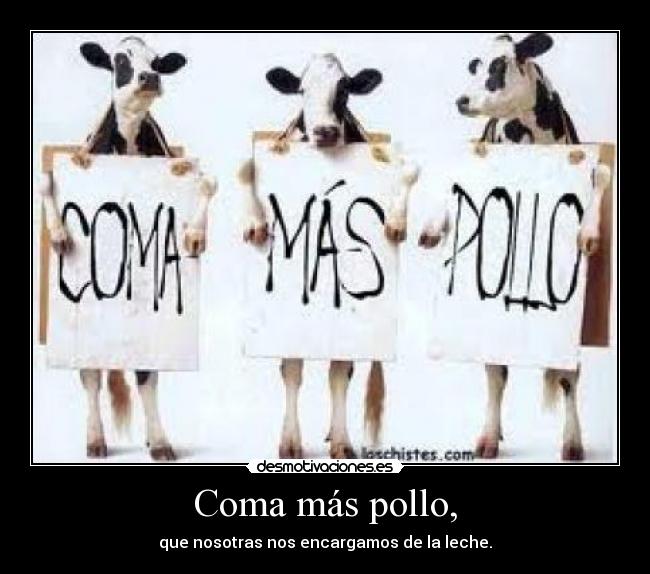 Coma más pollo, - que nosotras nos encargamos de la leche.