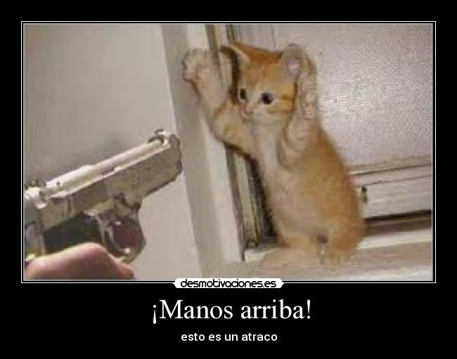 ¡Manos arriba! - 