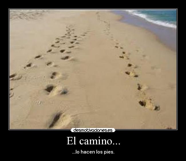 carteles camino desmotivaciones