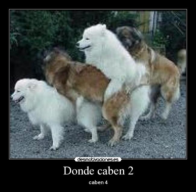 Donde caben 2 - 