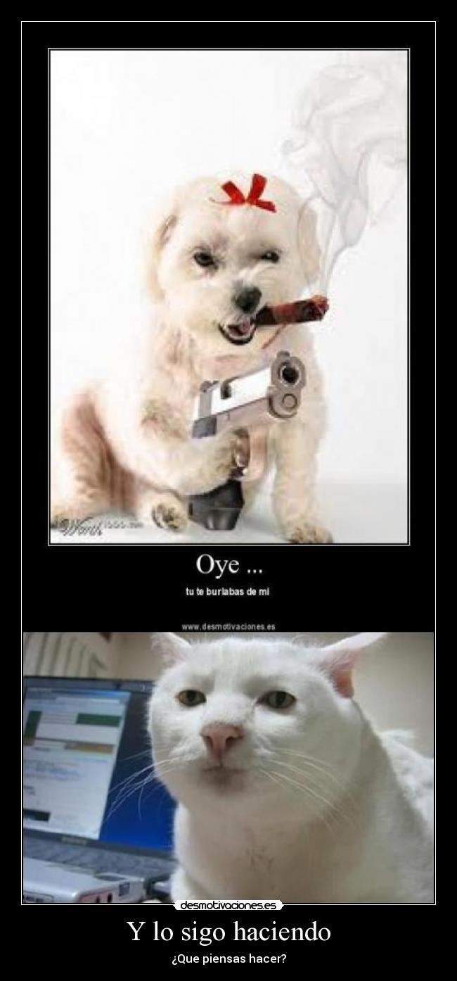 Y lo sigo haciendo - ¿Que piensas hacer?