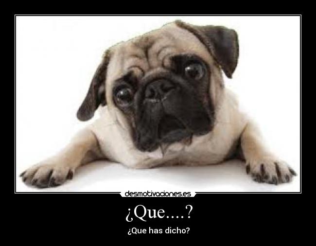 ¿Que....? - ¿Que has dicho?