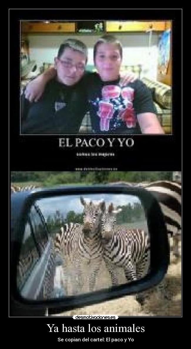 Ya hasta los animales -