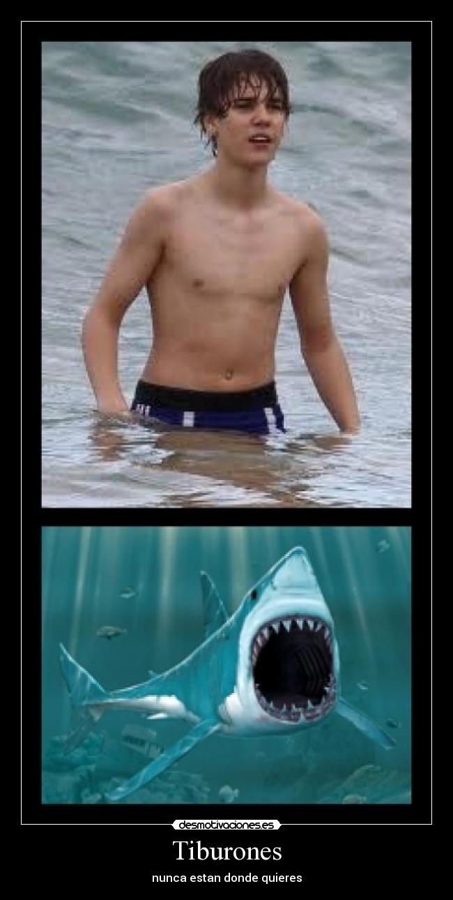 Tiburones - nunca estan donde quieres