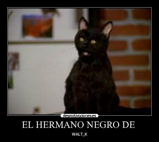 EL HERMANO NEGRO DE  - 