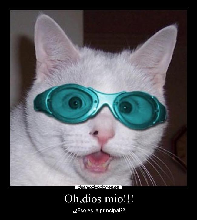 Oh,dios mio!!! - ¿¿Eso es la principal??