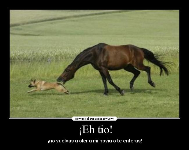 ¡Eh tio! - 